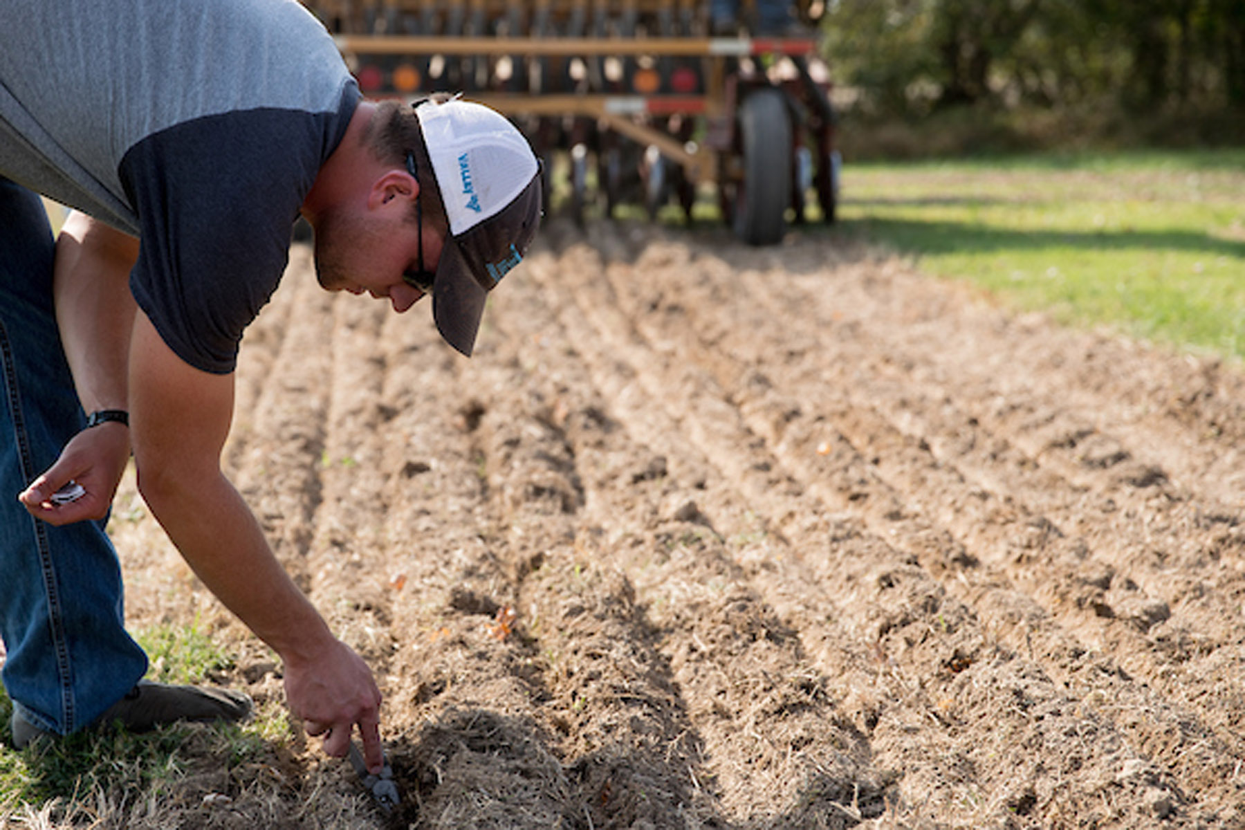 Image 10202016_CoveCropsAG10.jpg