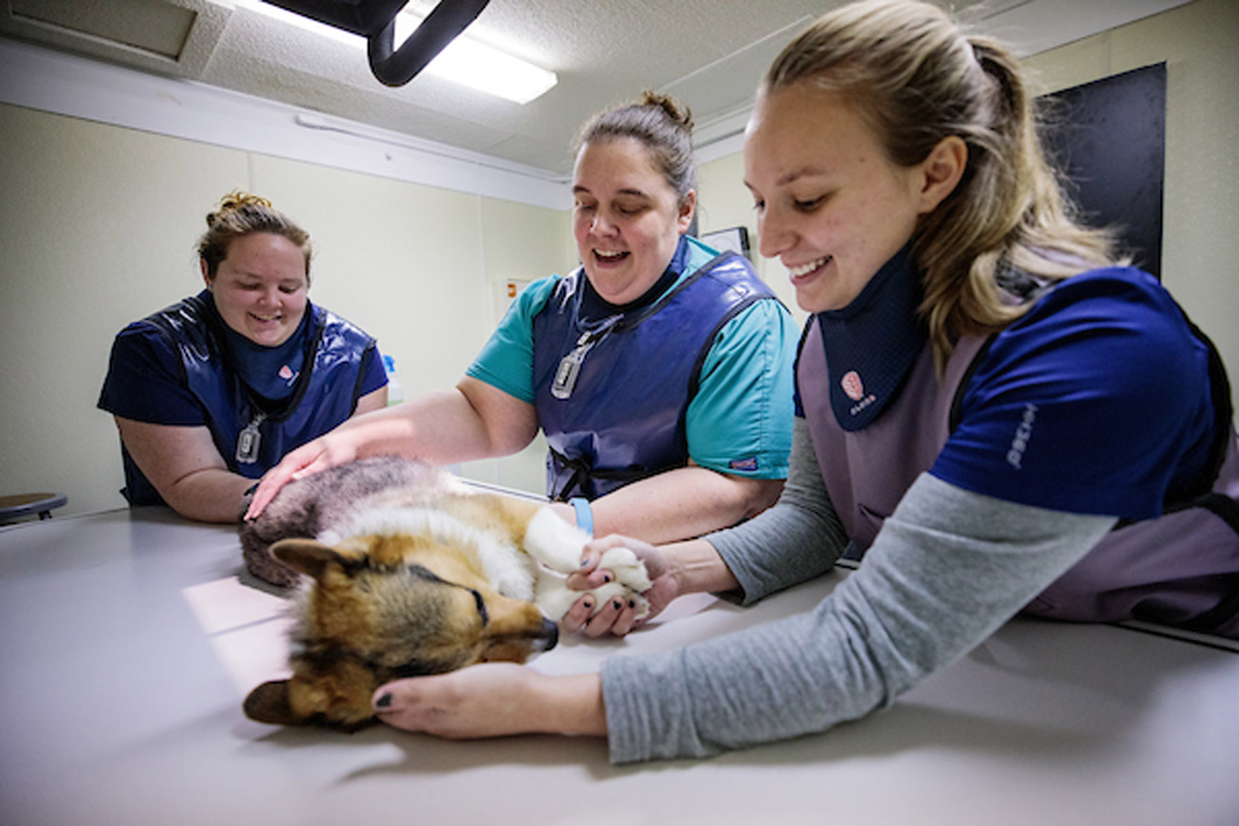 Image 11122019_VetTechMarketing057.jpg