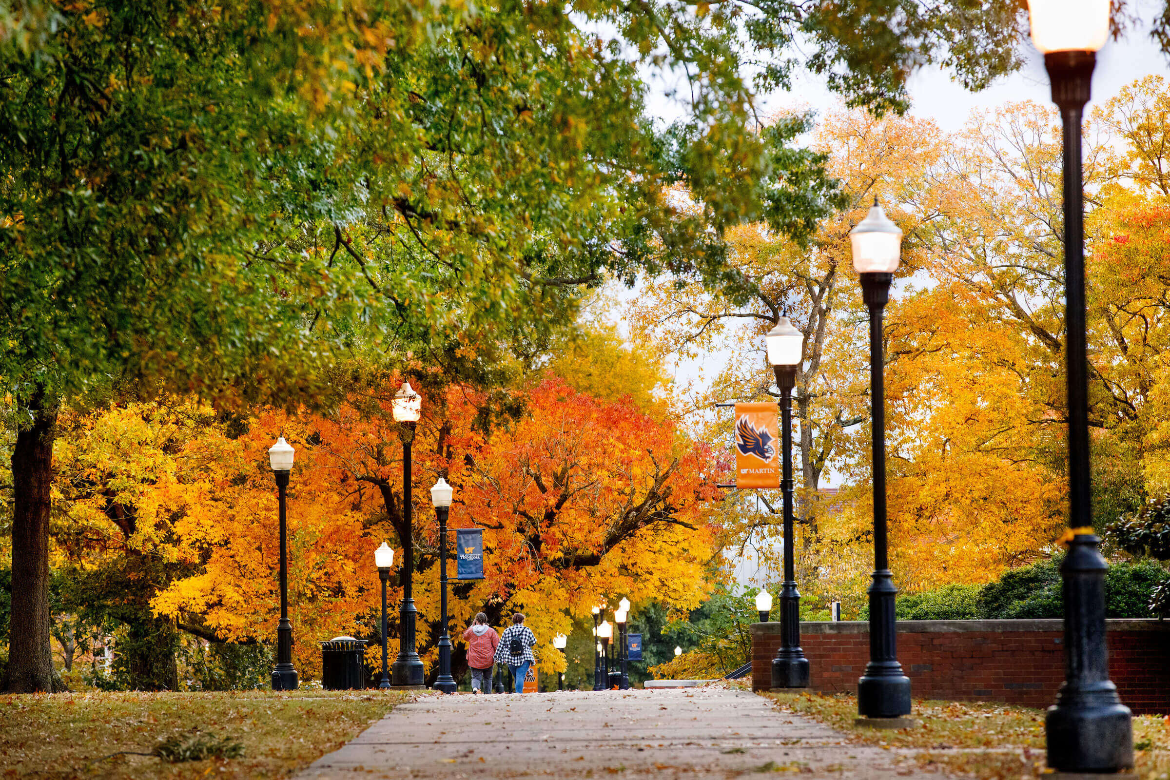 Image 10262022_FallScenes011.jpg