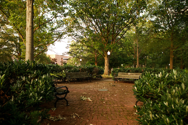 Image 07152020_Scenics022.jpg